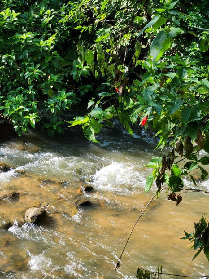 Hospedaria E Camping Quintal Do Mundo Lumiar Eksteriør bilde